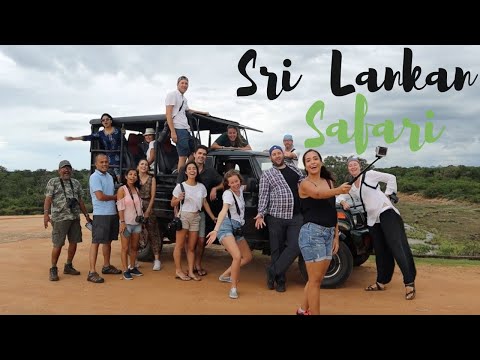 WILD Safari in Yala National Park // Travel in Sri Lanka Vlog