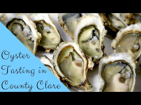 Tasting Oysters in New Quay, County Clare, Ireland