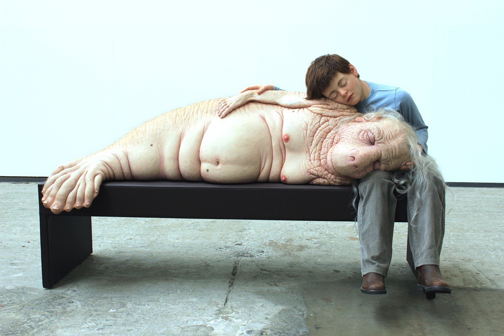 Galway Arts Fest - A Long Awaited (Patricia Piccinini)