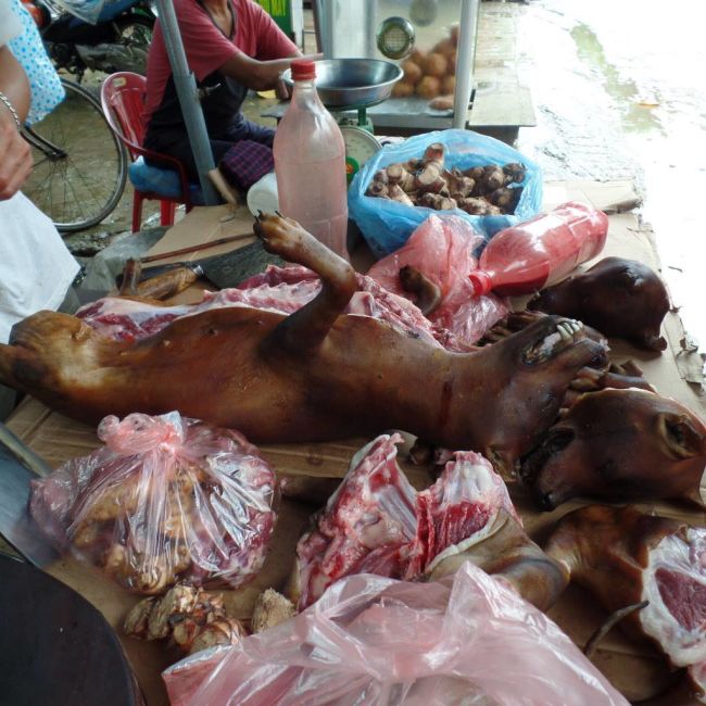 dog-meat-vietnam
