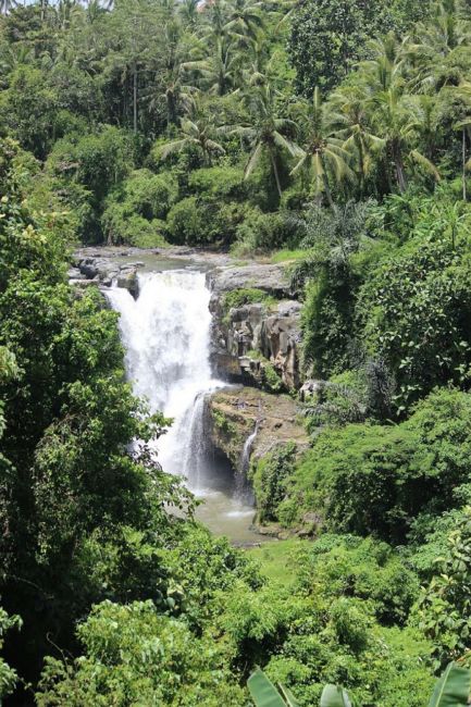 waterfalls in bali