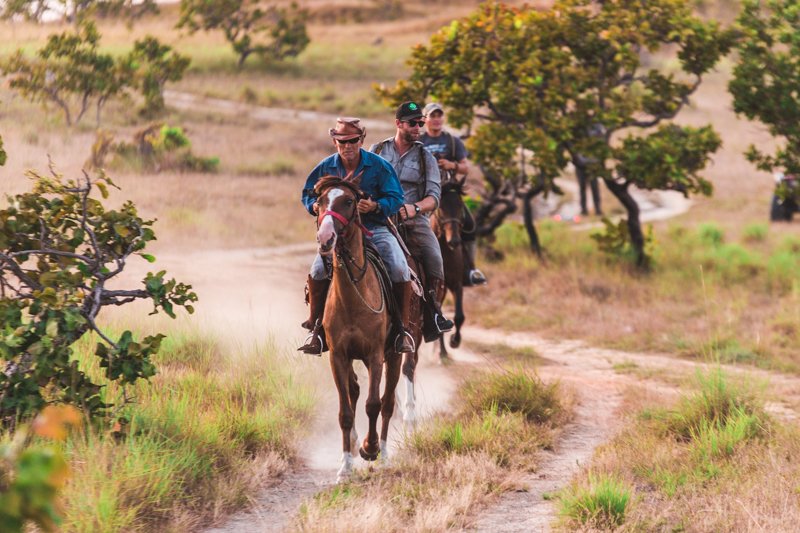 Saddle Mountain Ranch: A Horse Riding Adventure in Guyana